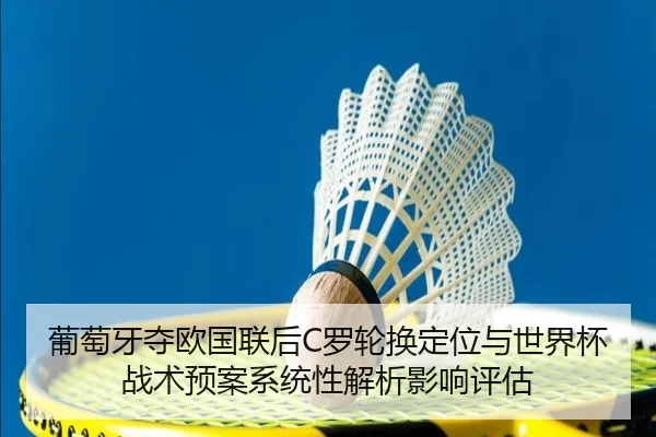 pu-tao-ya-duo-ou-guo-lian-hou-luo-lun-huan-ding-wei-yu-shi-jie-bei-zhan-shu-yu-an-xi-tong-xing-jie-xi-ying-xiang-ping-gu-2-937.jpg