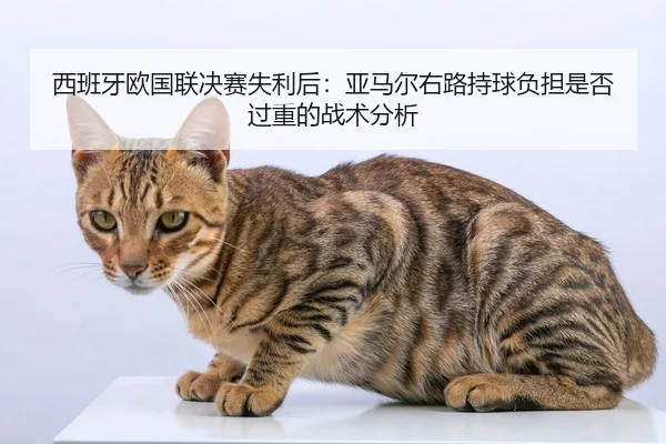西班牙欧国联决赛失利后：亚马尔右路持球负担是否过重的战术分析